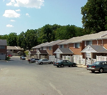 Rock Creek Palisades