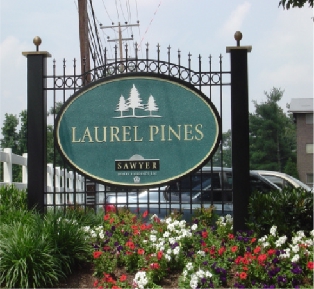 Laurel Pines